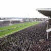 Bet £10, get £60 with BetMGM for our 500/1 Cheltenham feature race tip!