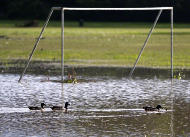 Live Updates - Boxing Day matches called off