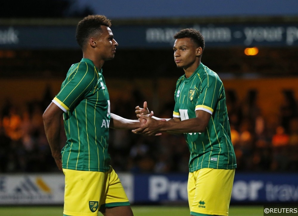 Jacob Murphy and Josh Murphy Norwich