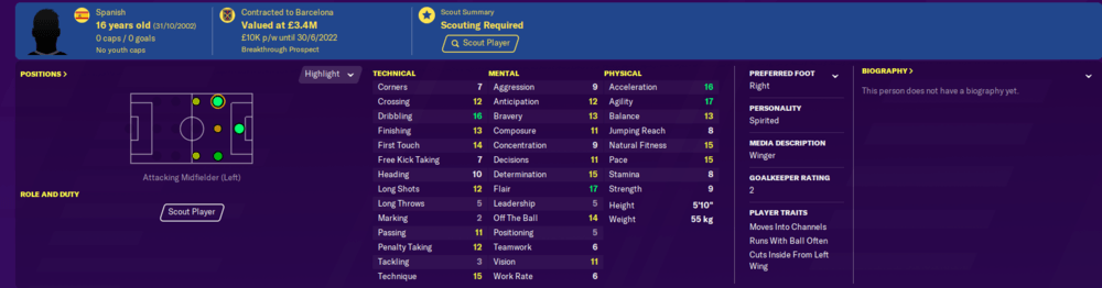 Football Manager 2020 wonderkids strikers