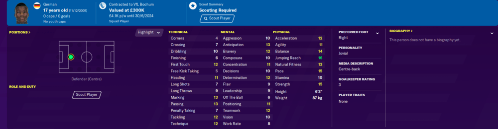 Football Manager 2020 wonderkids