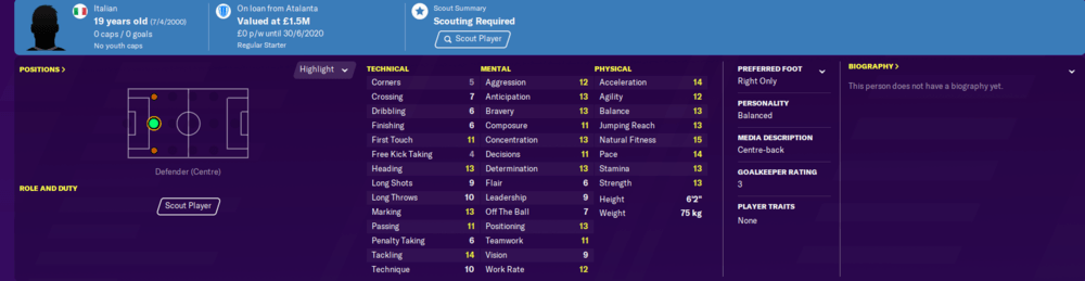 Football Manager 2020 wonderkids