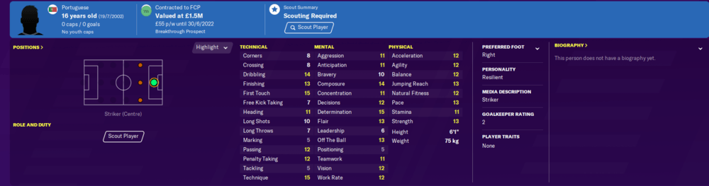 Football Manager 2020 wonderkids strikers