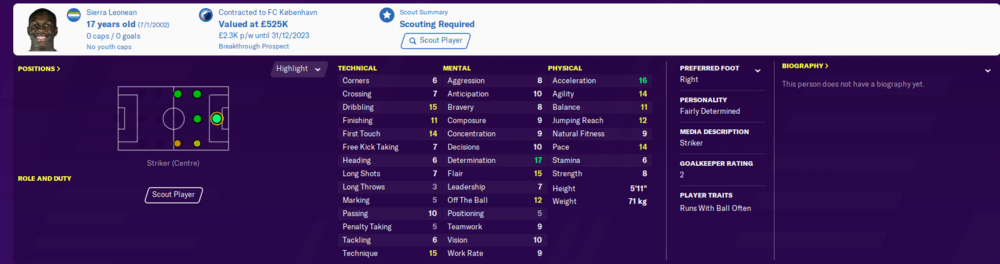 Football Manager 2020 wonderkids strikers