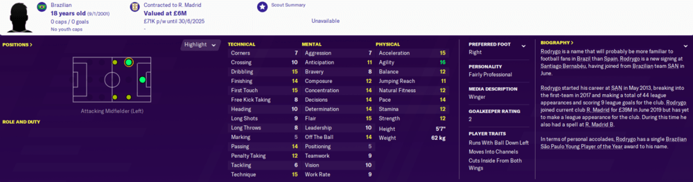 Football Manager 2020 wonderkids