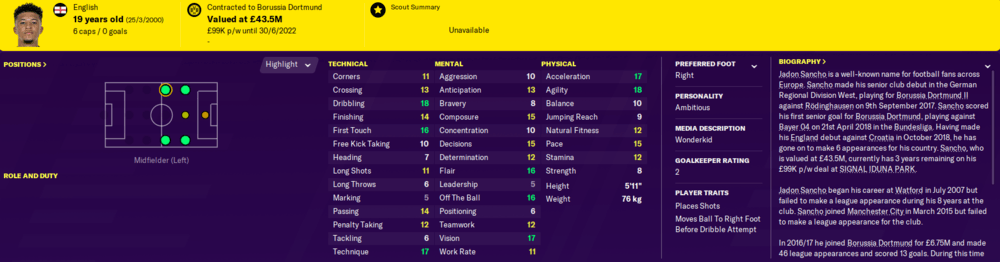 Football Manager 2020 wonderkids