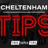 Experts' Best Bets: Robbie Wilders' Cheltenham Day 3 tips & huge 70K/1 acca!