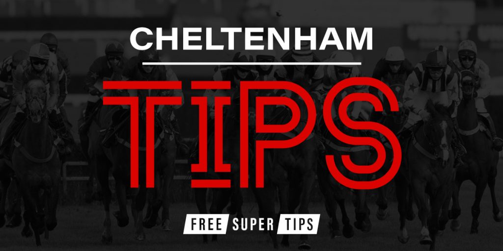 Cheltenham tips