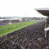 Cheltenham Festival 2023: Massive 273/1 Championship race acca!