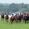 Royal Ascot 2022: All you need to bet on next week's spectacle