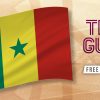 Senegal team guide & best bet - World Cup 2022