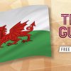 Wales team guide & best bet - World Cup 2022