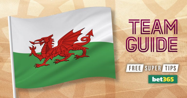 Wales team guide & best bet - World Cup 2022