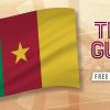 Cameroon team guide & best bet - World Cup 2022