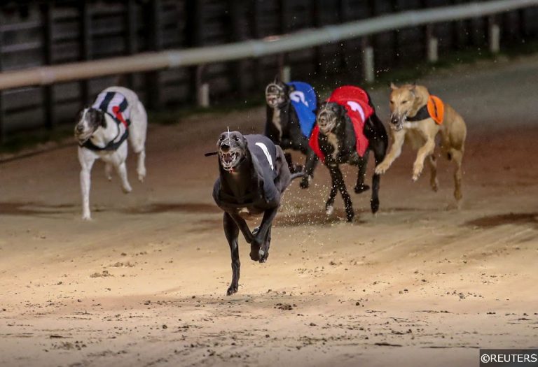 Saturday's Greyhound Derby predictions with 7/1 treble
