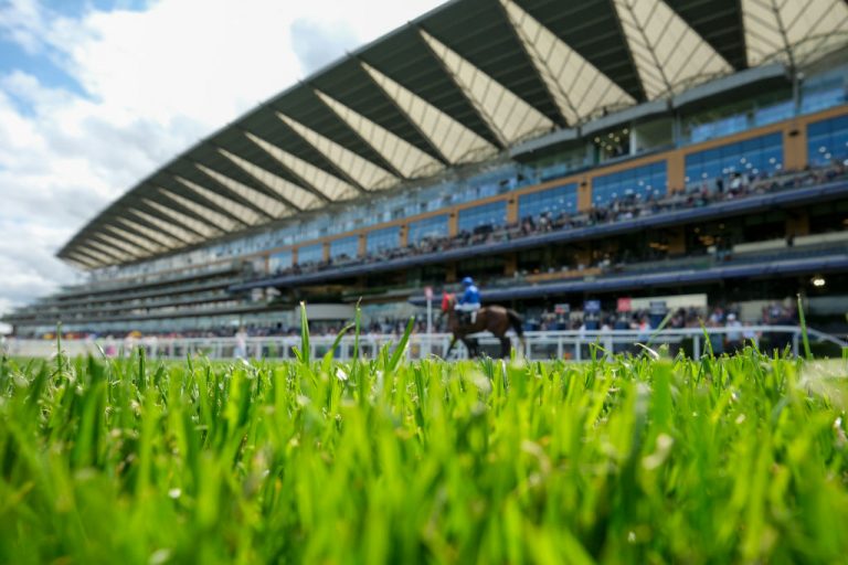 Royal Ascot Preview with 171/1 accumulator tip